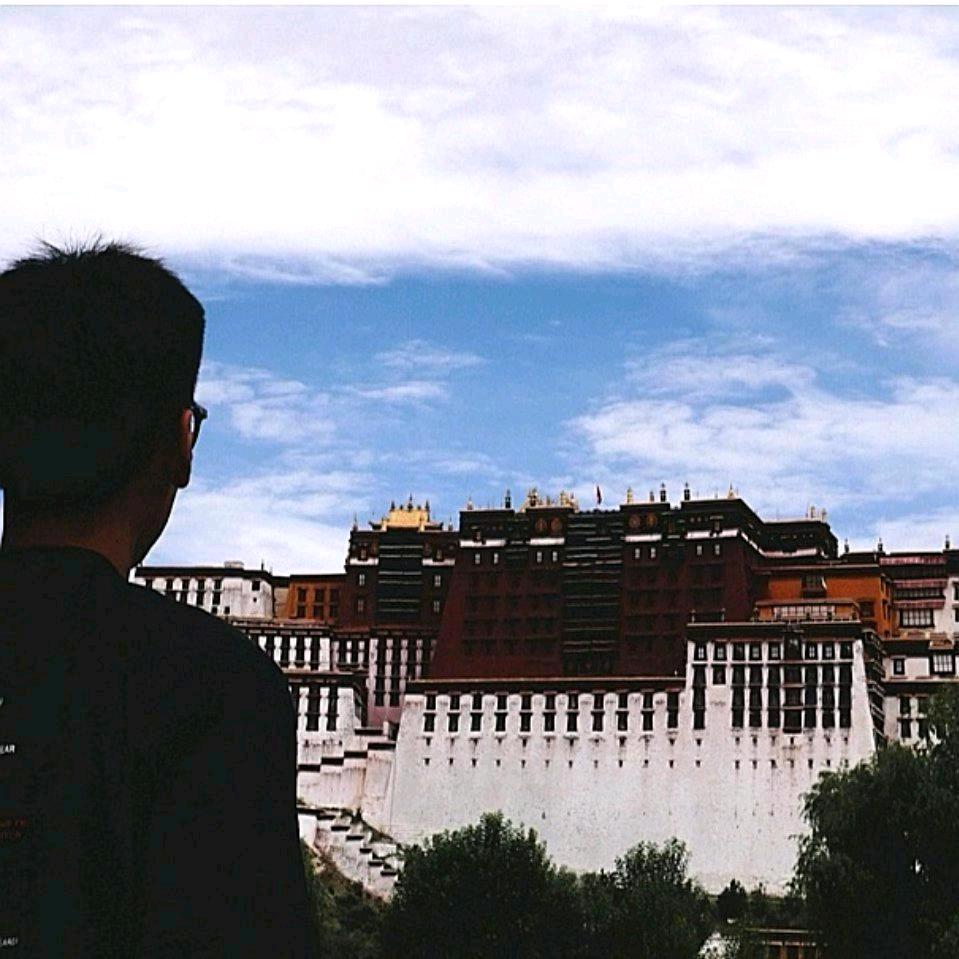 高大橘