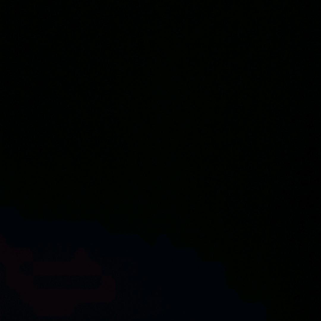 LZX