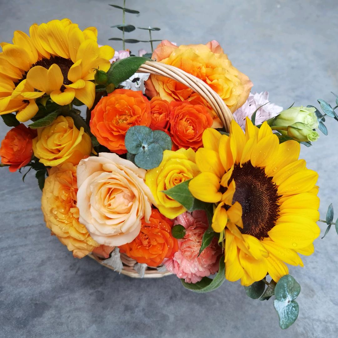 用户1220984051210彭