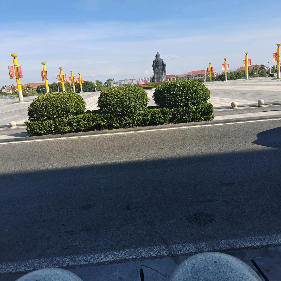 自然飞