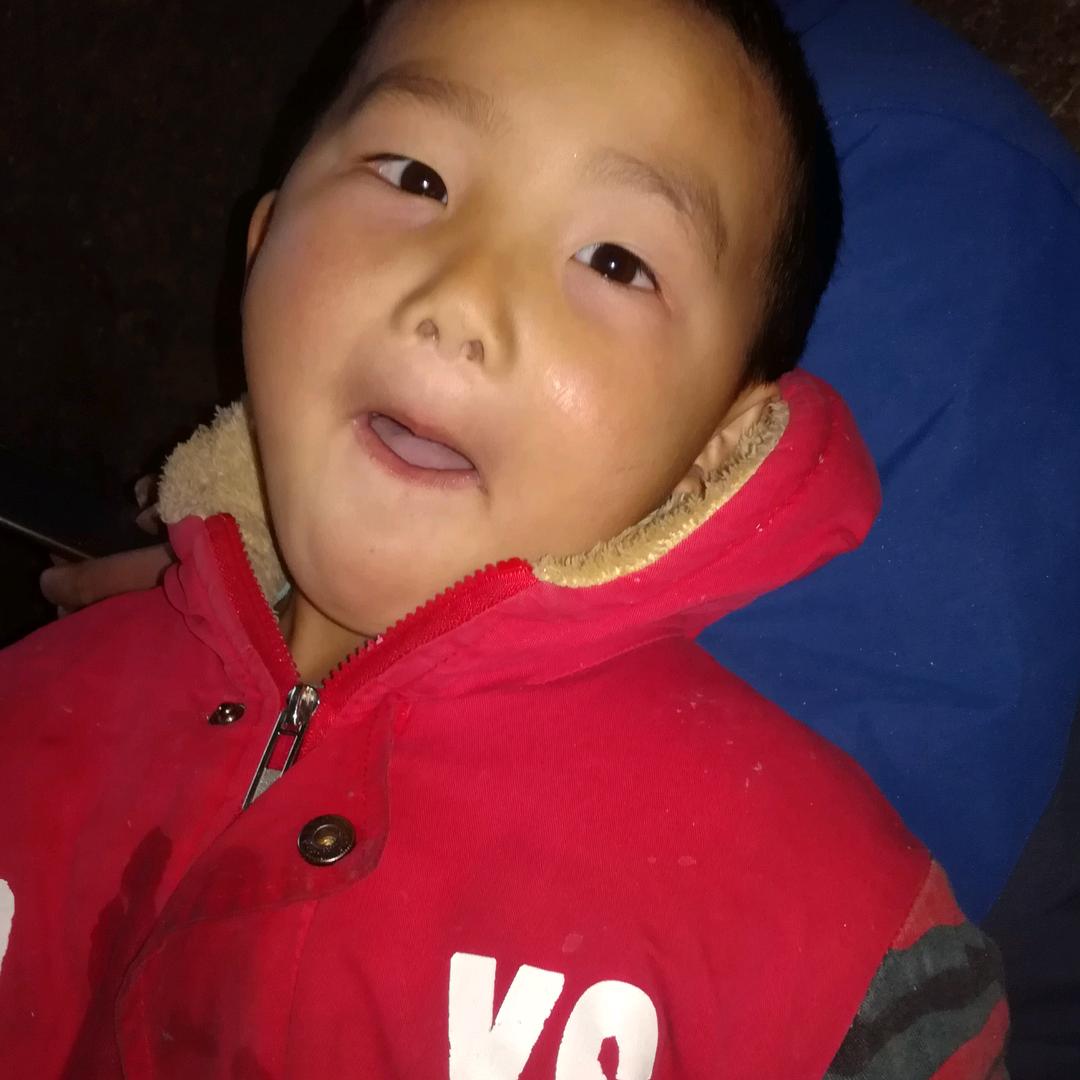 杨珍珍