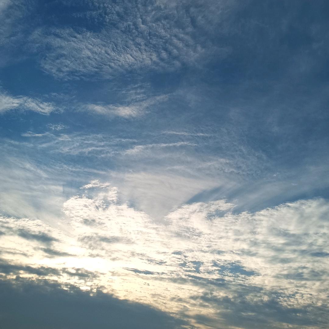 随风9264145586727
