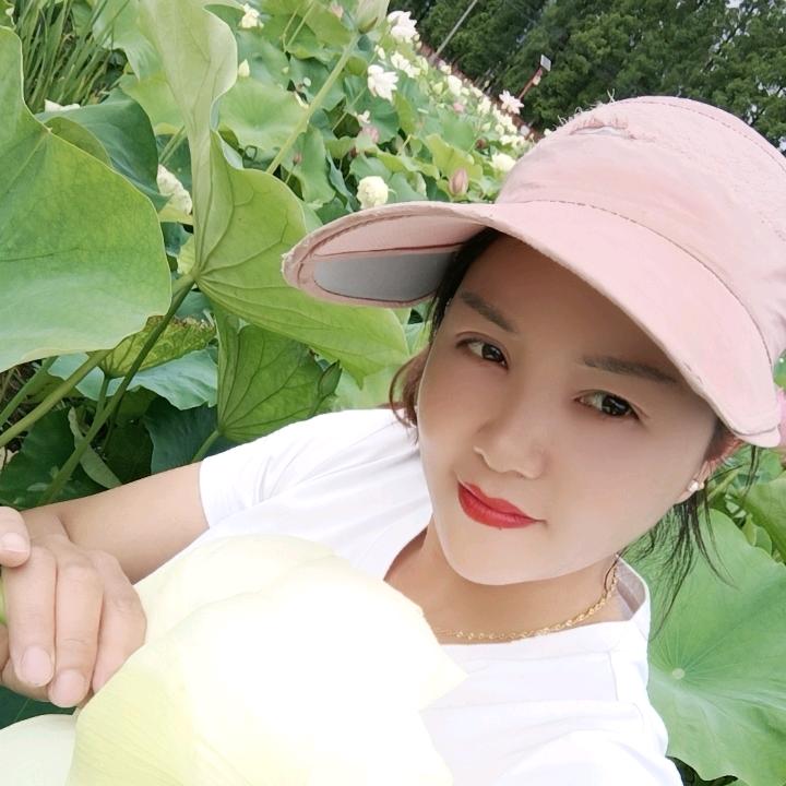 飘落的黄叶，，