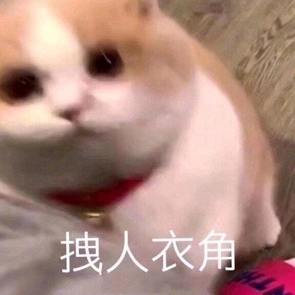 三精牌小黄鸭🌈