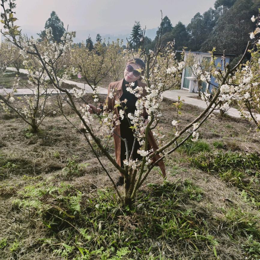 用户6743570776870喜洋洋