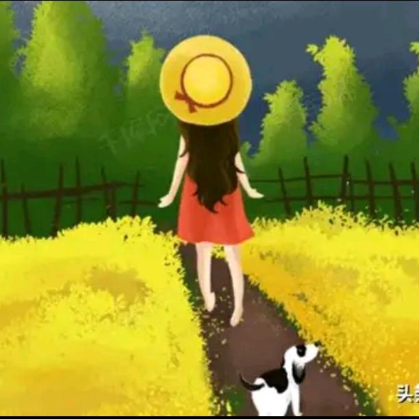 金骏眉