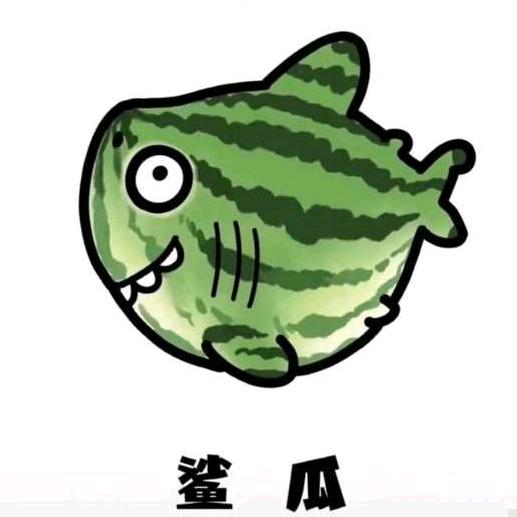 苇苇杭