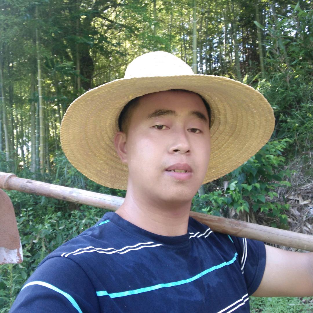石城县柳鑫螺蛳粉店