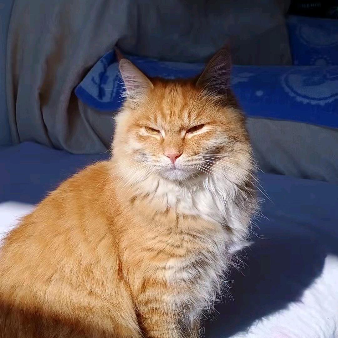 深奥