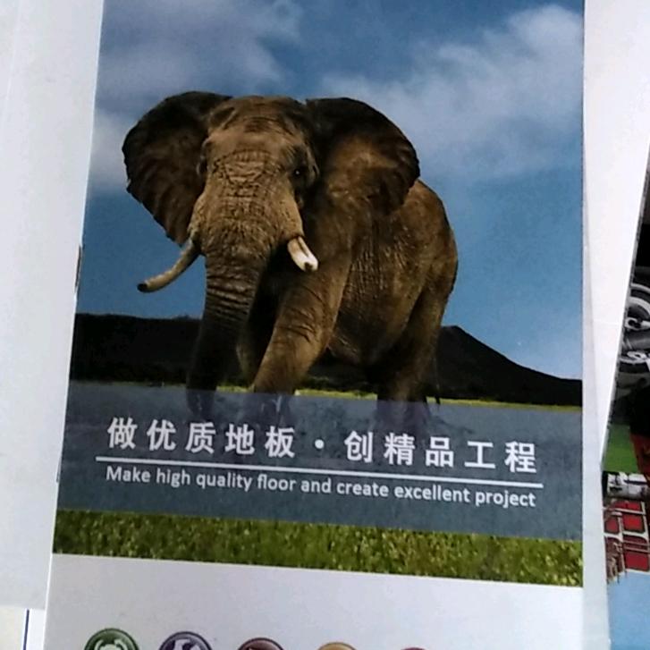 呈呈