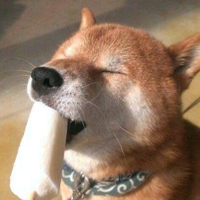玄又不玄