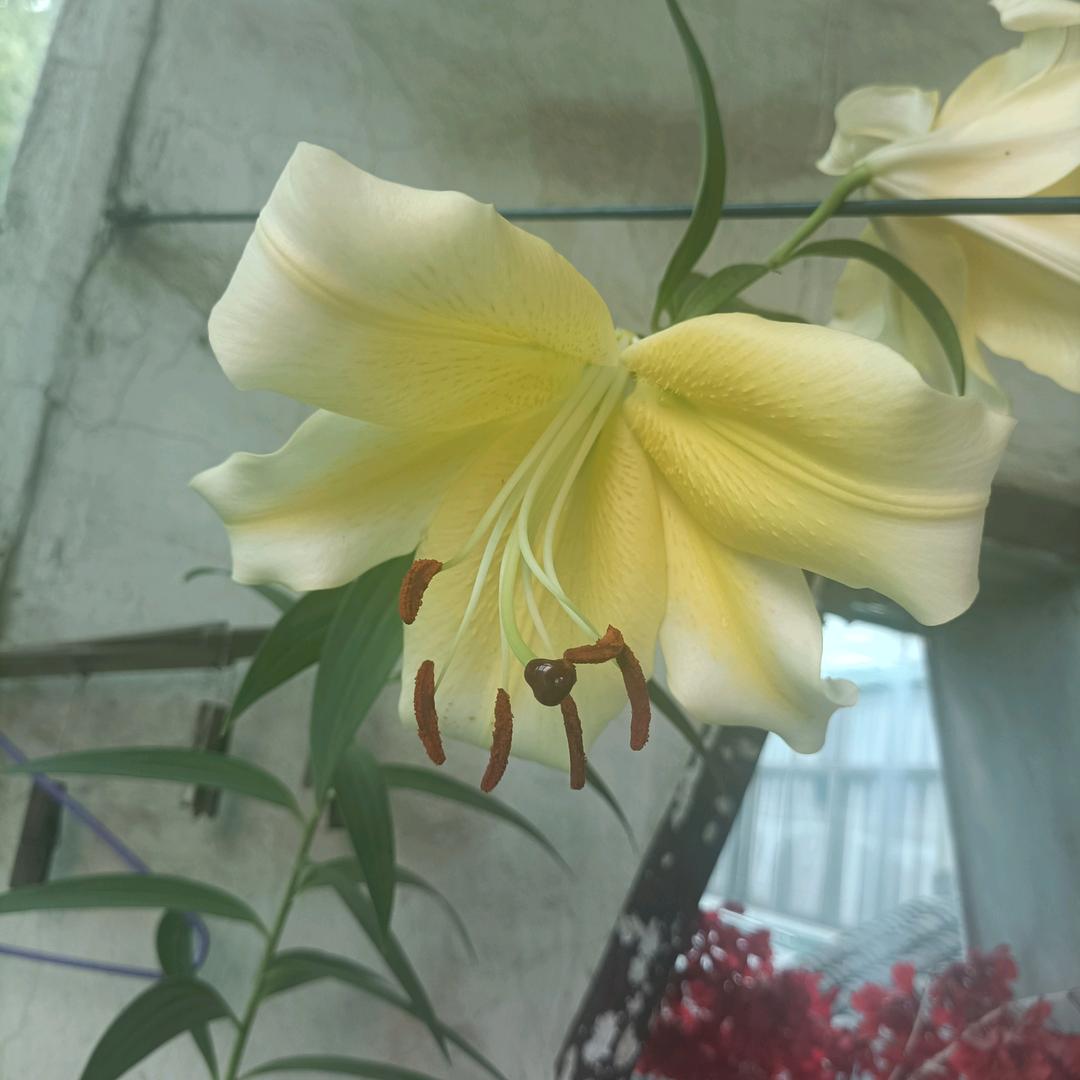 春暧花开