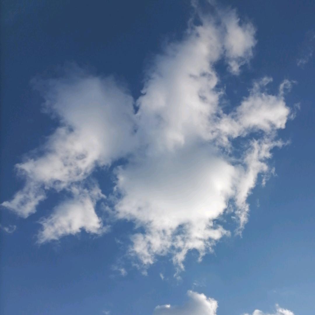 空白