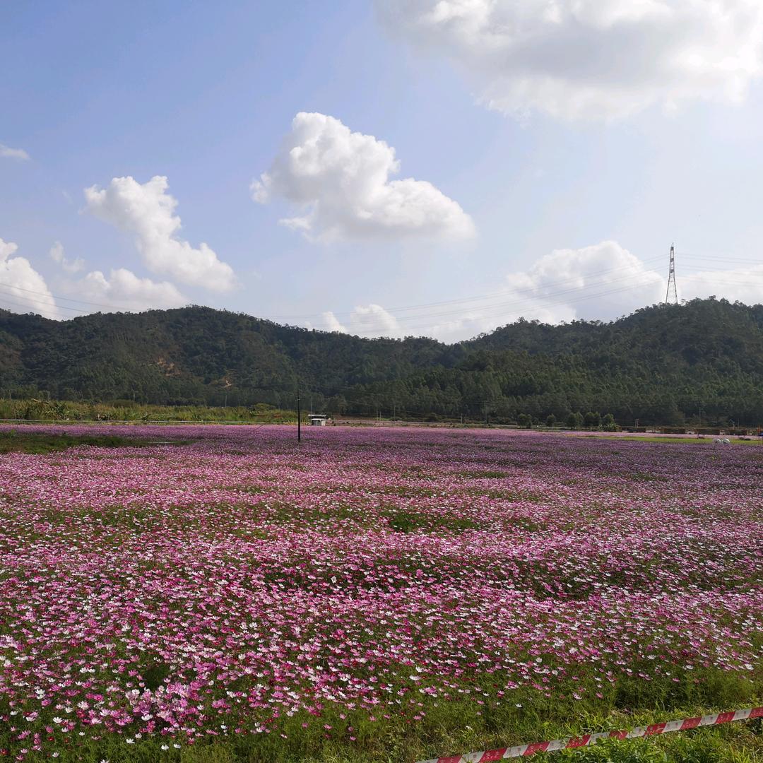 加油，谢小姐！