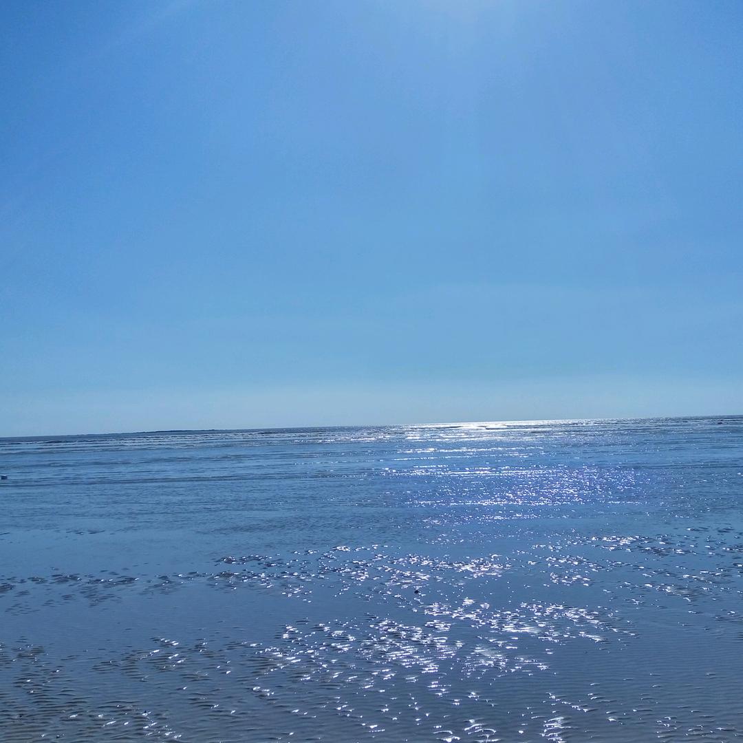 海