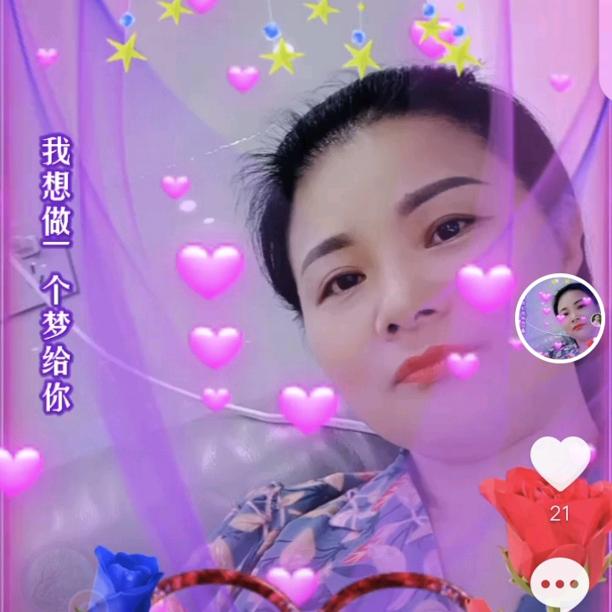 雨中的玫瑰花