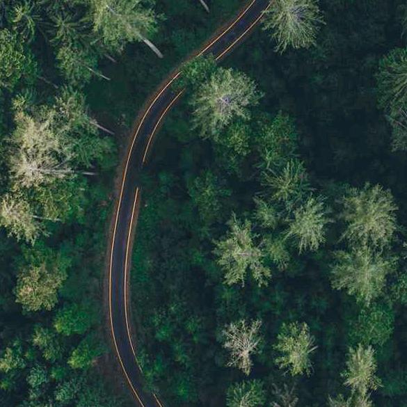 自由飞翔西各庄