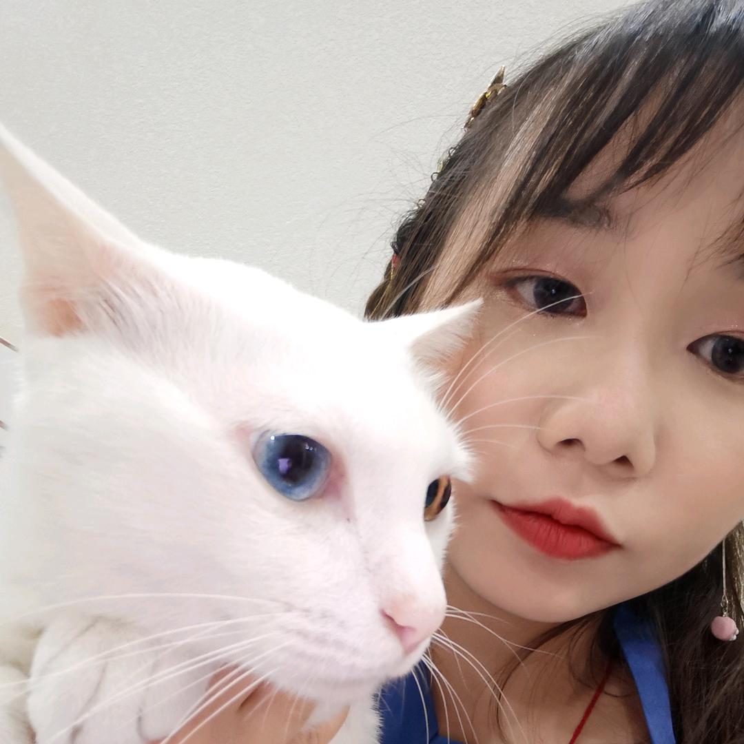 妖猫九千岁🐾