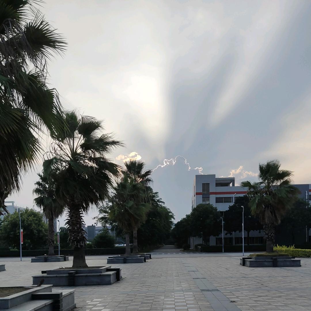大洋彼岸