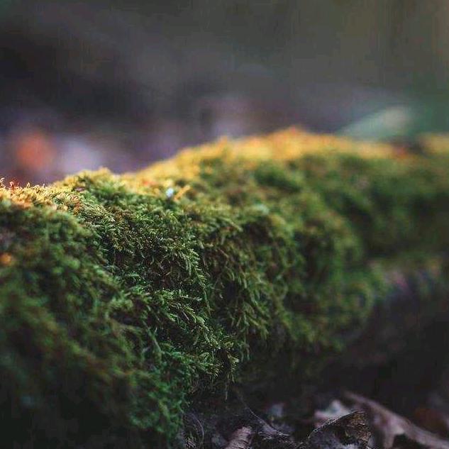 怎堪潦草过一生