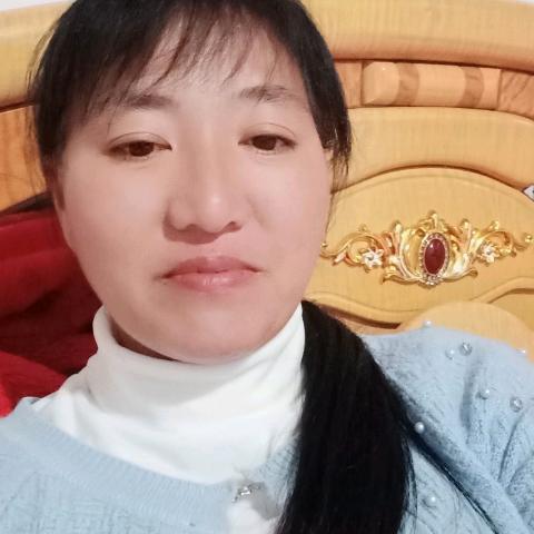 陈姐