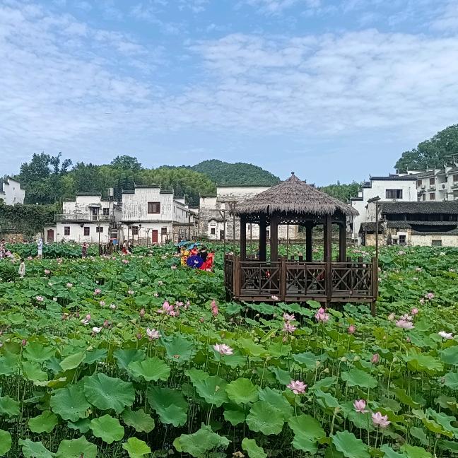 婺源县致中和民宿