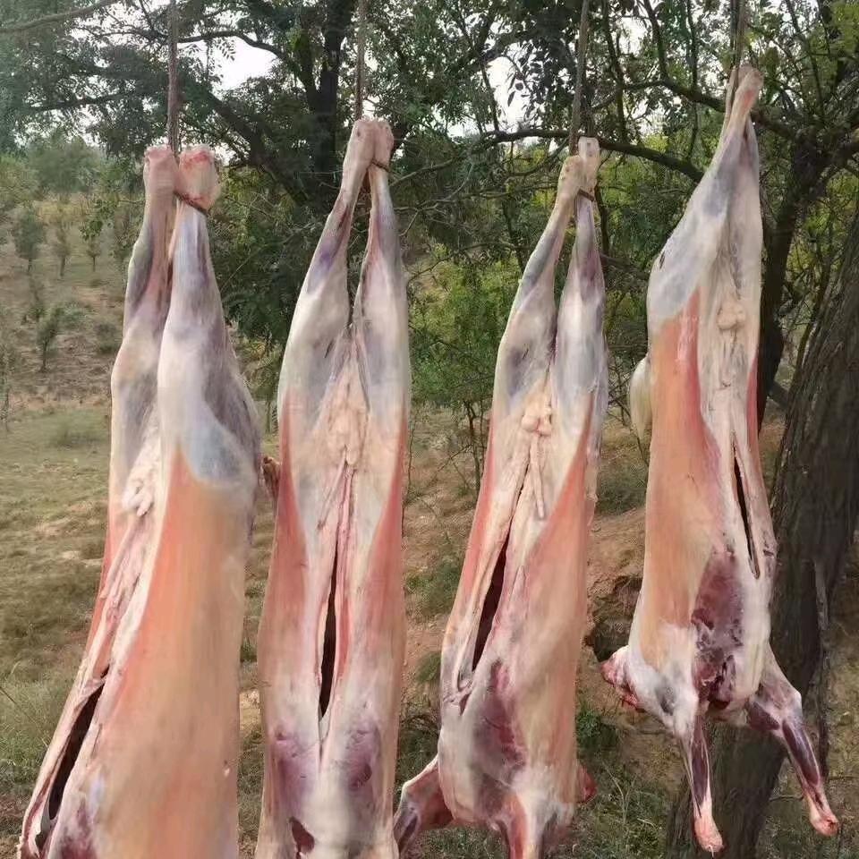 横山农村羊肉