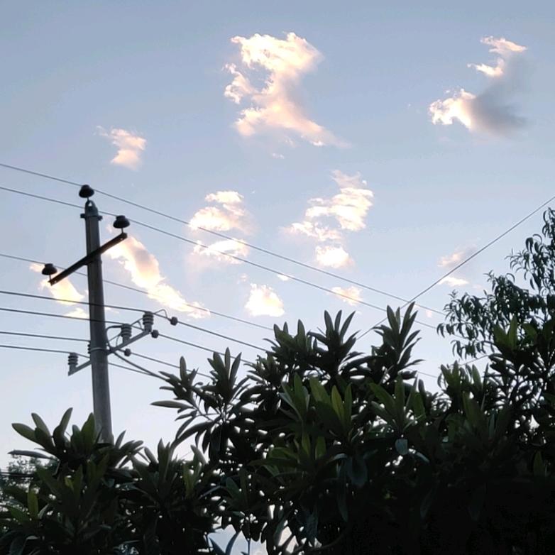 爱钓鱼的80后