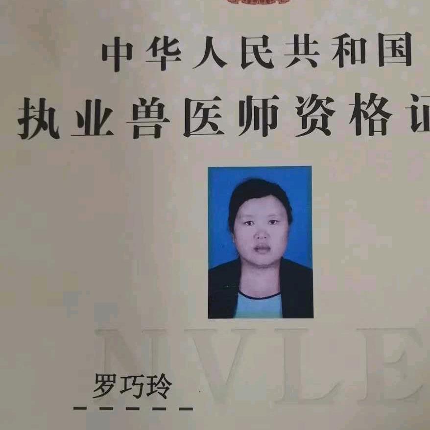 罗牛仙肉牛饲养营养全面管理医师