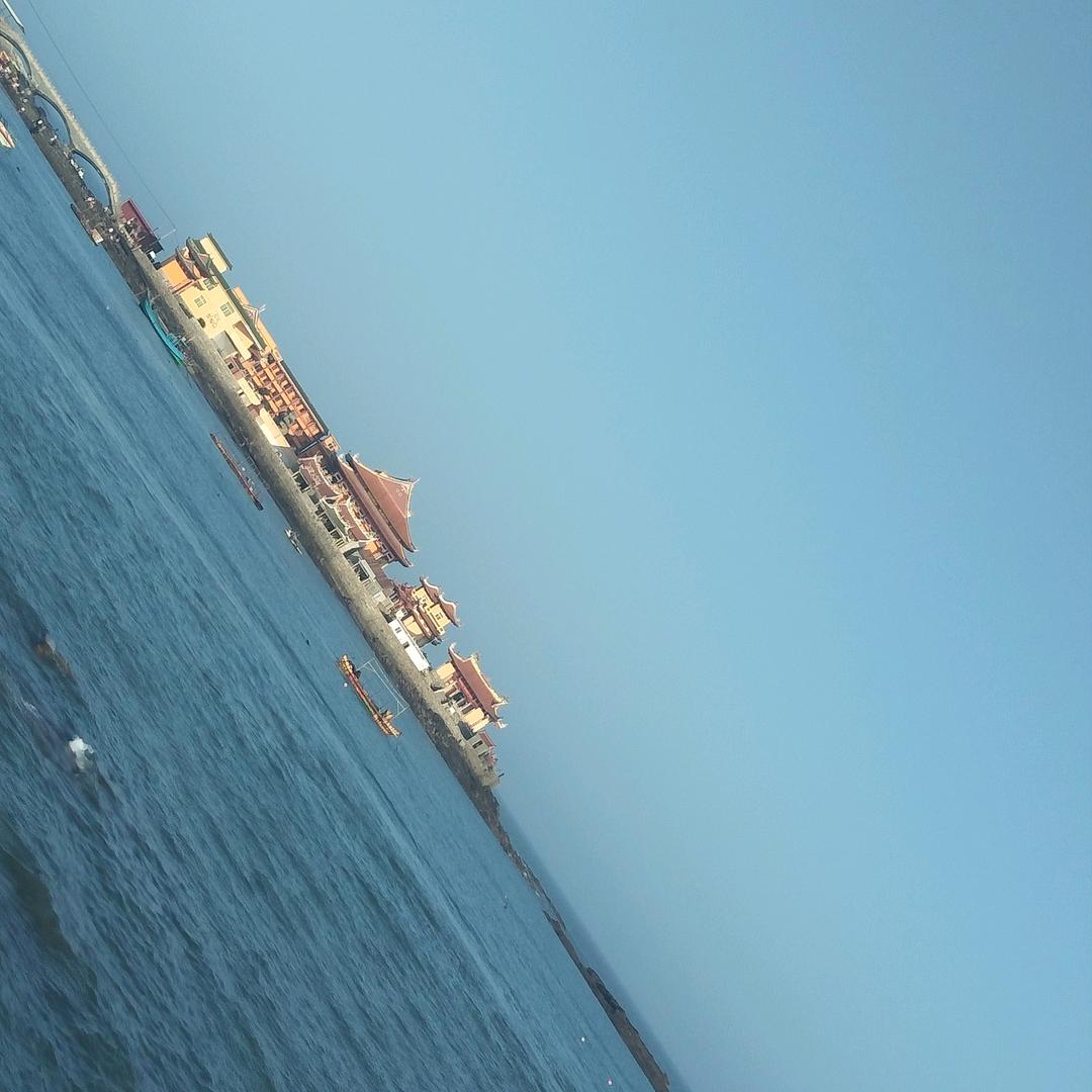山林虎