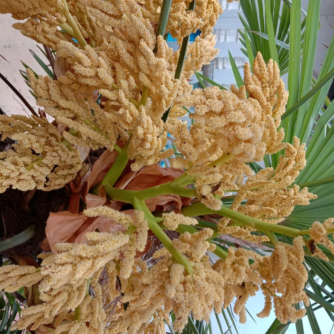 ＠忍耐《有限》