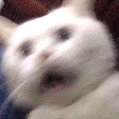 瘦瘦瘦