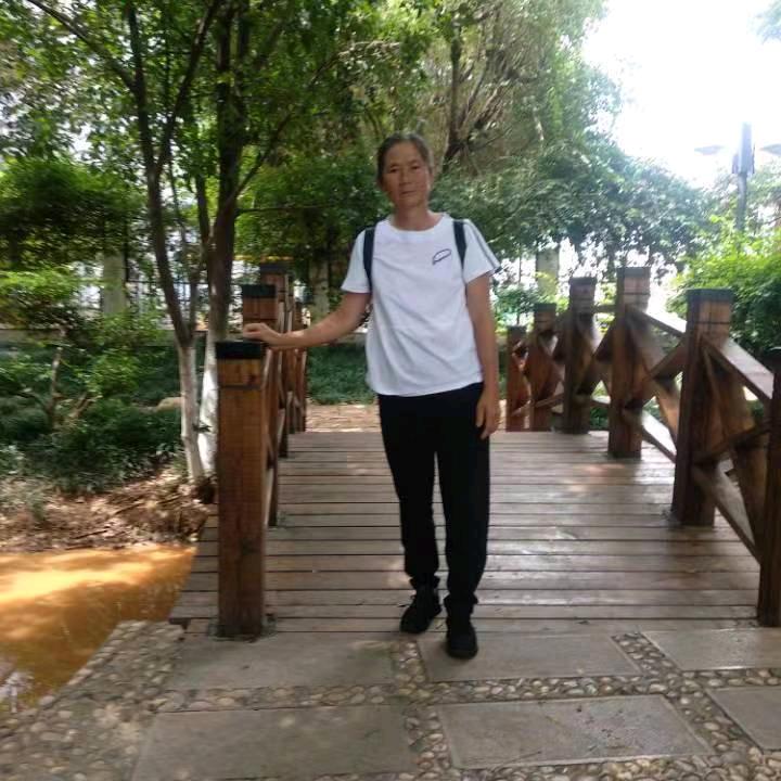 四季如春