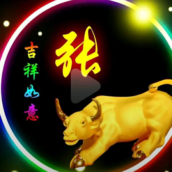 专业制作金刚网改内倒窗