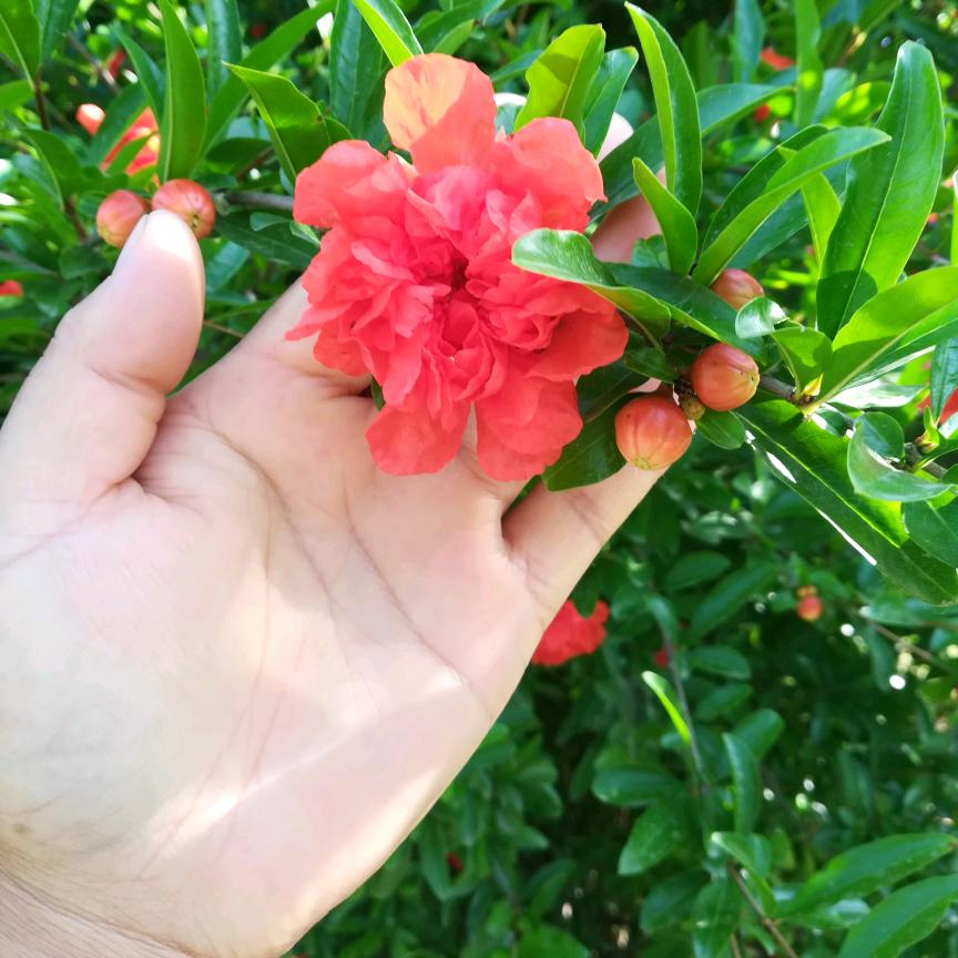 美好的回忆.