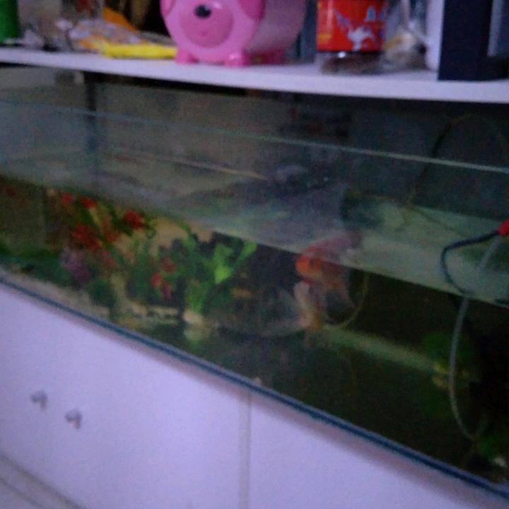 玉龙一号