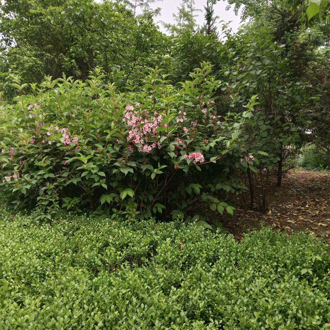 大家都叫我做人要真诚