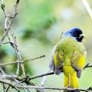 @好久不见🌙🌙