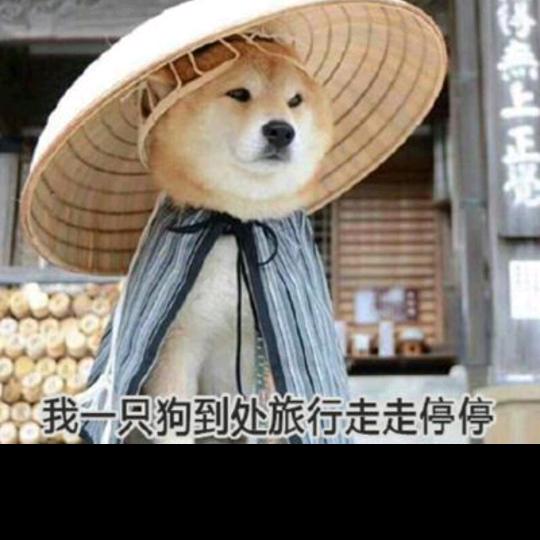 八方来财