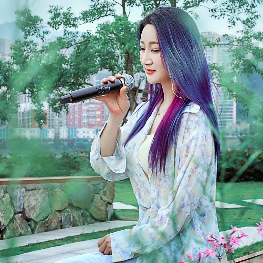 海燕🌈伤感情歌