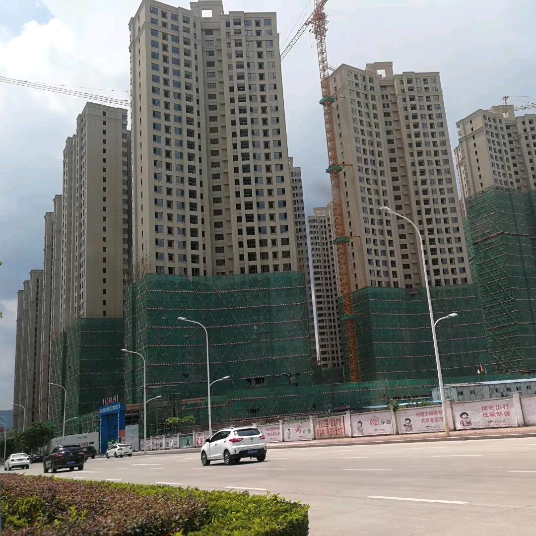 彭大将军
