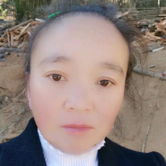 悠闲时光1