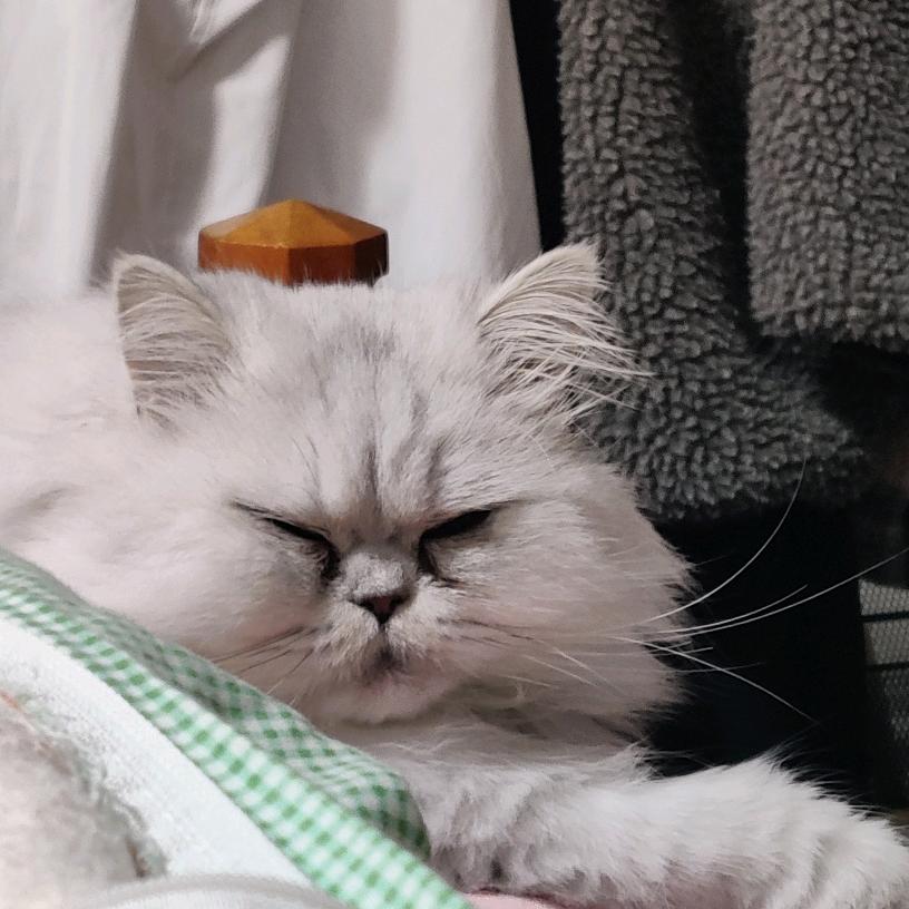 憨瑞