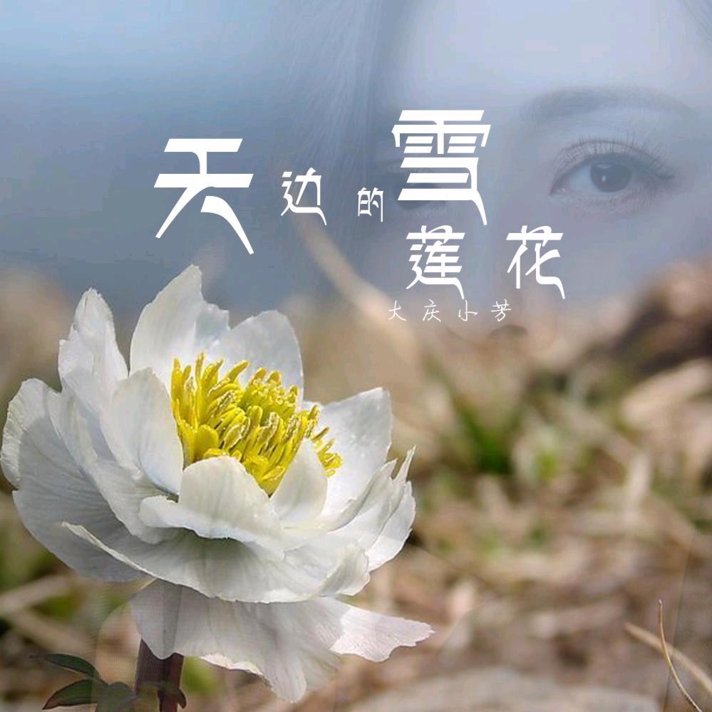 雪*莲