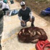 钓鱼牛哥