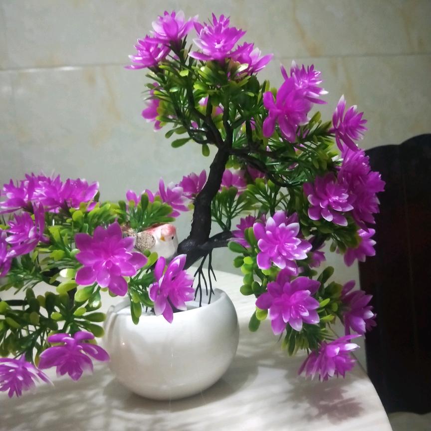 勤劳至富。。。