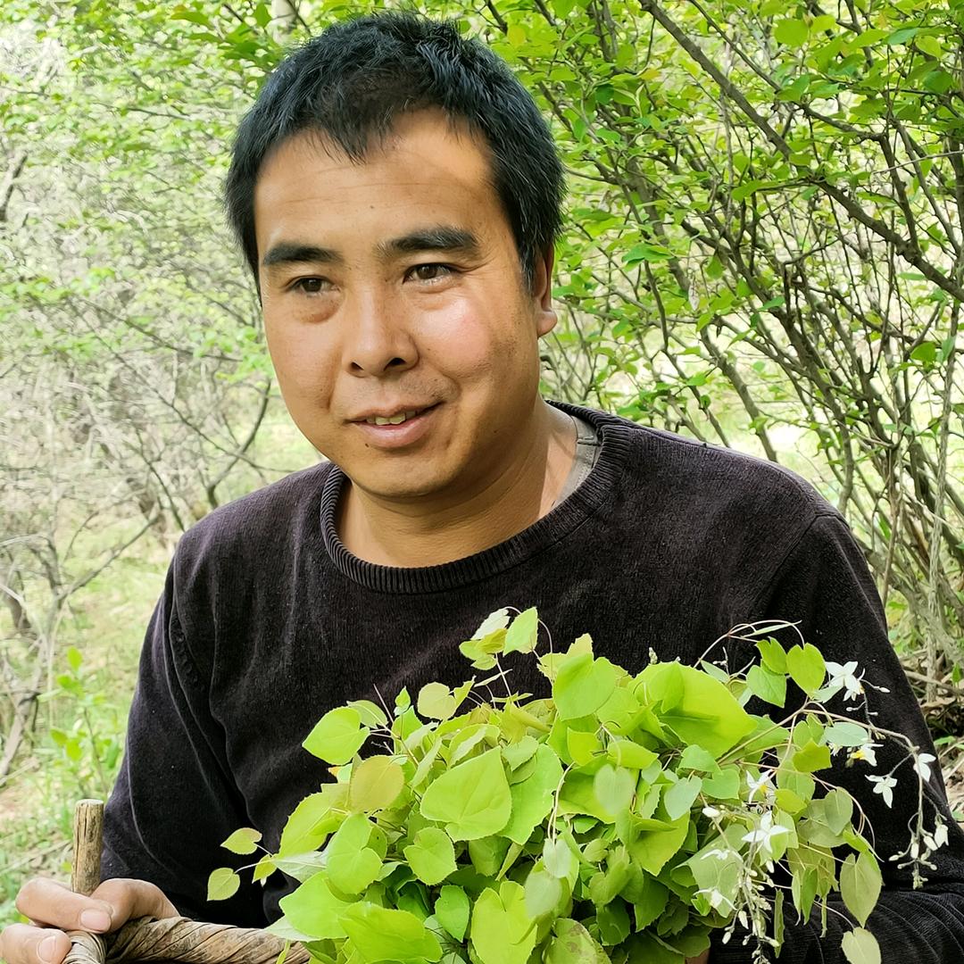 包进忠农特的头像