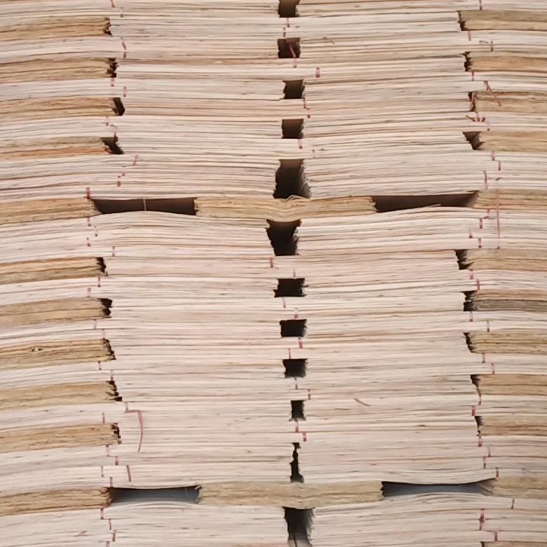 常年现金桉木单板贸易