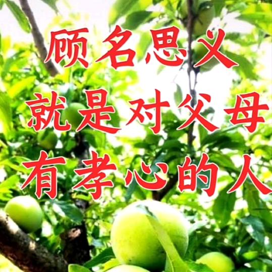 一生幸福