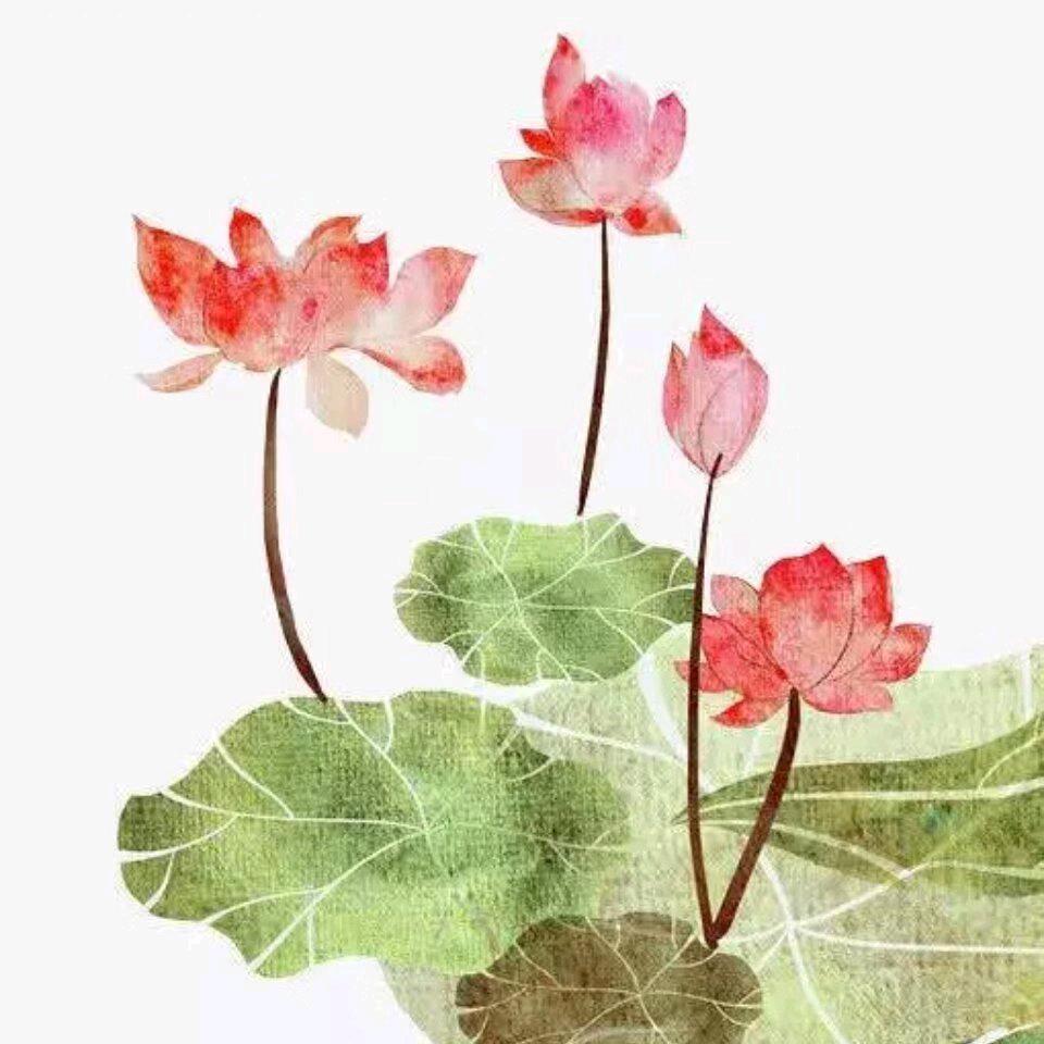 手机用户63001761244